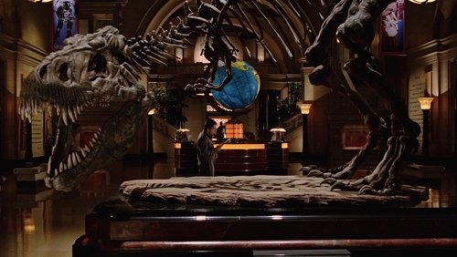 Night at the Museum - Đêm Ở Viện Bảo Tàng - Hình 2