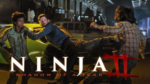 Ninja: Shadow of a Tear - Ninja 2: Ninja Báo Thù - Hình 4
