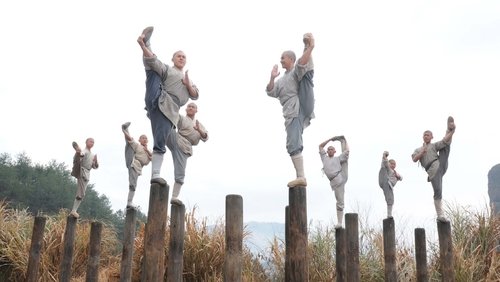 Shaolin - Tân Thiếu Lâm Tự - Hình 5