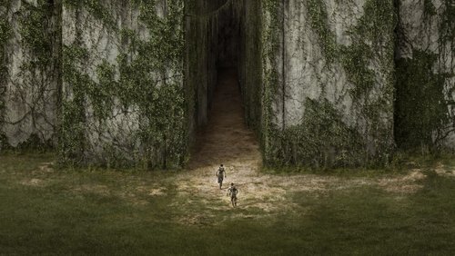 The Maze Runner - Giải Mã Mê Cung - Hình 1