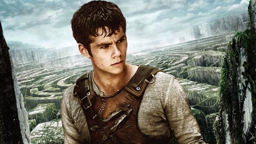 The Maze Runner - Giải Mã Mê Cung - Hình 5