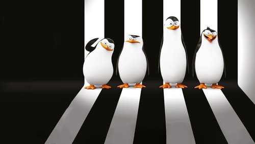 Penguins of Madagascar - Biệt Đội Cánh Cụt Vùng Madagascar - Hình 1
