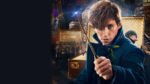 Fantastic Beasts And Where To Find Them - Sinh Vật Huyền Bí Và Nơi Tìm Ra Chúng - Hình 2