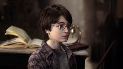 Harry Potter And The Sorcerer's Stone - Harry Potter Và Hòn Đá Phù thủy - Hình 1