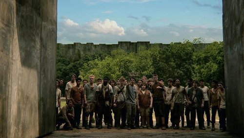 The Maze Runner - Giải Mã Mê Cung - Hình 2