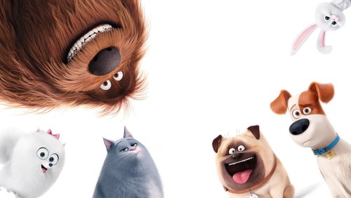 The Secret Life of Pets - Đẳng Cấp Thú Cưng - Hình 3