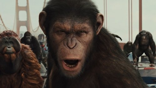 Rise of the Planet of the Apes - Sự Trỗi Dậy Của Hành Tinh Khỉ - Hình 3