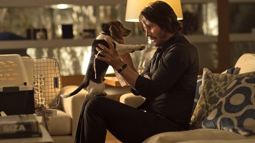 John Wick - Sát Thủ John Wick - Hình 4