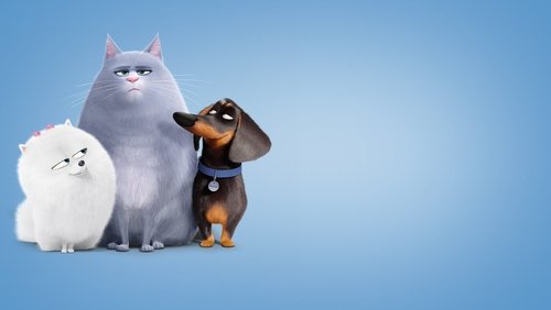 The Secret Life of Pets - Đẳng Cấp Thú Cưng - Hình 4