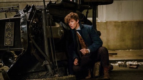 Fantastic Beasts And Where To Find Them - Sinh Vật Huyền Bí Và Nơi Tìm Ra Chúng - Hình 1