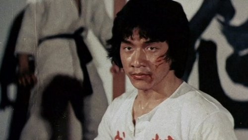 New Fist Of Fury - Tân Tinh Võ Môn - Hình 1