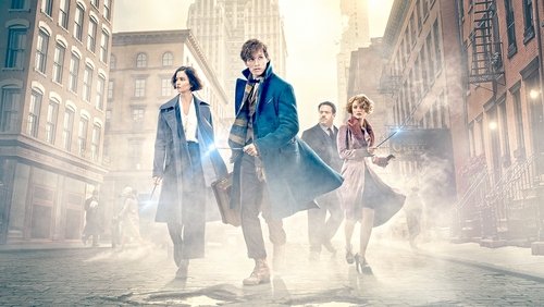 Fantastic Beasts And Where To Find Them - Sinh Vật Huyền Bí Và Nơi Tìm Ra Chúng - Hình 3