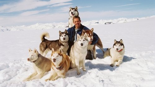 Eight Below - Âm Tám Độ - Hình 2