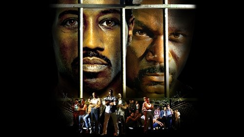 Undisputed - Quyết Đấu - Hình 1