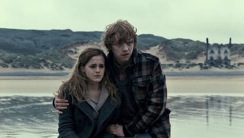 Harry Potter And The Deathly Hallows: Part 1 - Harry Potter Và Bảo Bối Tử Thần - Phần 1 - Hình 3