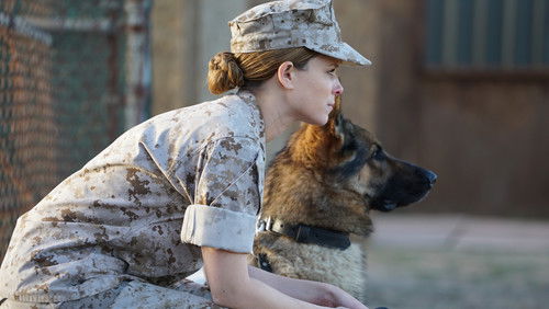 Megan Leavey - Hạ Sĩ Megan - Hình 4