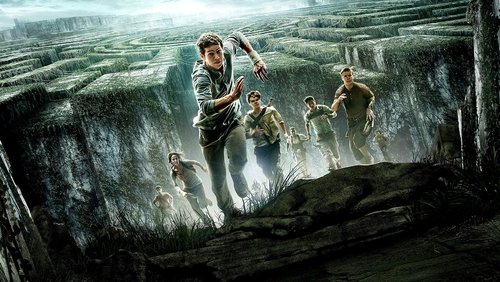 The Maze Runner - Giải Mã Mê Cung - Hình 3