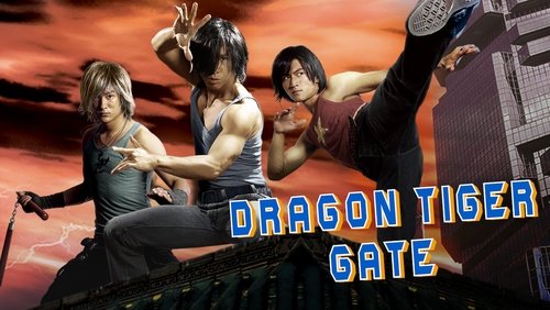 Dragon Tiger Gate - Long Hổ Môn - Hình 2