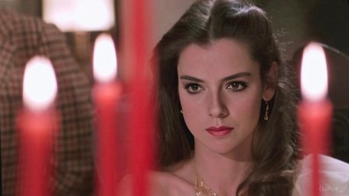 Wheels on Meals - Quán Ăn Lưu Động - Hình 3