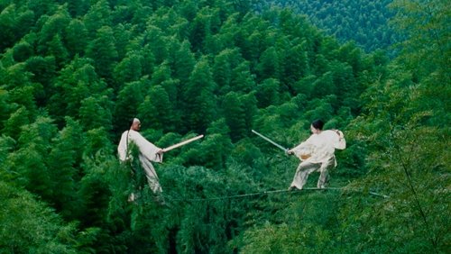 Crouching Tiger, Hidden Dragon - Ngọa Hổ Tàng Long - Hình 2