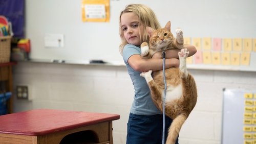 Gifted - Cô Bé Thần Đồng - Hình 5