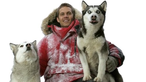 Eight Below - Âm Tám Độ - Hình 3