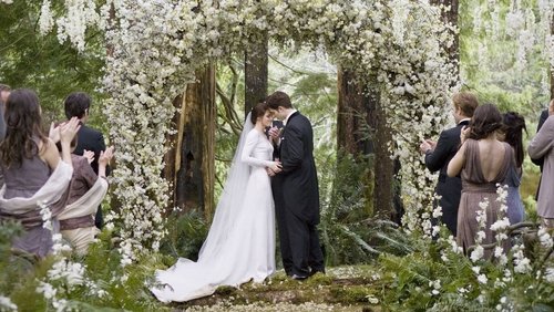 The Twilight Saga: Breaking Dawn - Part 1 - Chạng Vạng 4: Hừng Đông Phần 1 - Hình 3