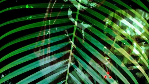 Predator - Quái Vật Vô Hình | Tiêu Diệt Ác Thú - Hình 2