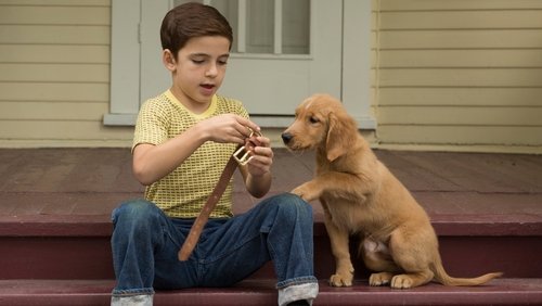 A Dog's Purpose - Mục Đích Sống Của Một Chú Chó - Hình 1
