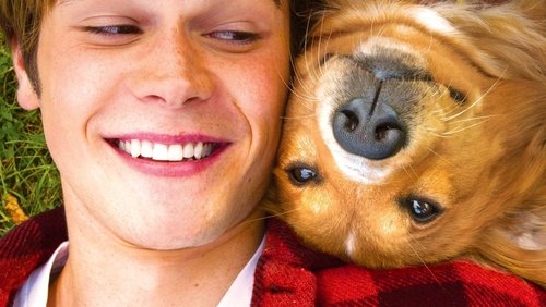 A Dog's Purpose - Mục Đích Sống Của Một Chú Chó - Hình 3