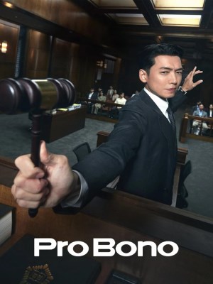 Pro Bono (2025)