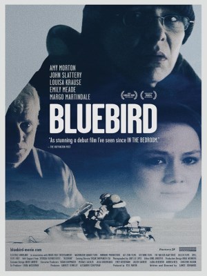 Chim Xanh - Bluebird (2013)