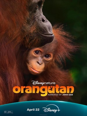 Đười Ươi - Orangutan (2026)