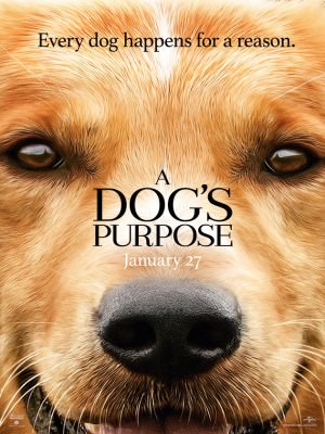 Mục Đích Sống Của Một Chú Chó - A Dog's Purpose (2017)
