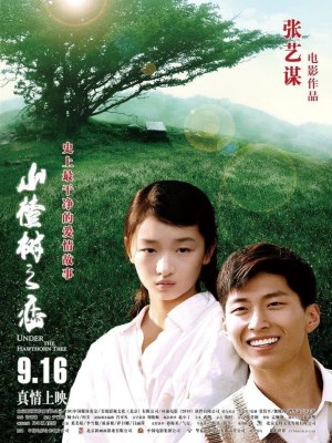 Chuyện Tình Cây Táo Gai - Under the Hawthorn Tree (2010)