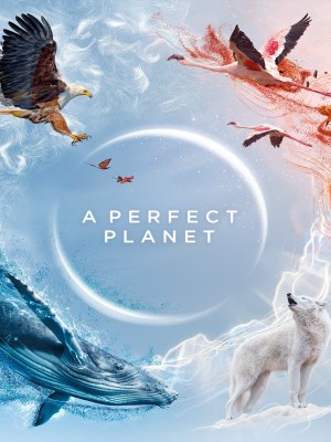 Hành Tinh Hoàn Hảo - A Perfect Planet (2021)