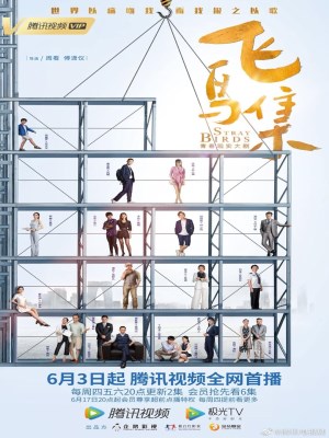 Bầy Chim Lạc - Stray Birds (2021)